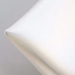 Natural Heavy Silk Satin