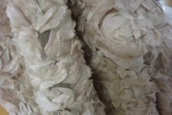 Tabu Pearl 10 Tabu Pearl -Silk Haven Shop DSC05739