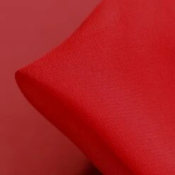 Gette Cherry Silk Georgette