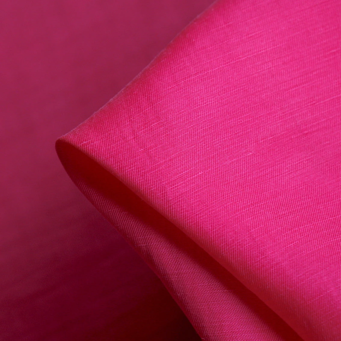 Harley Fuchsia 3 Harley Fuchsia