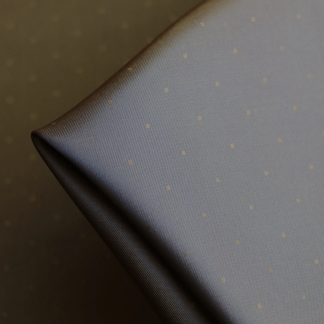 Clivia 013 3 Clivia 013