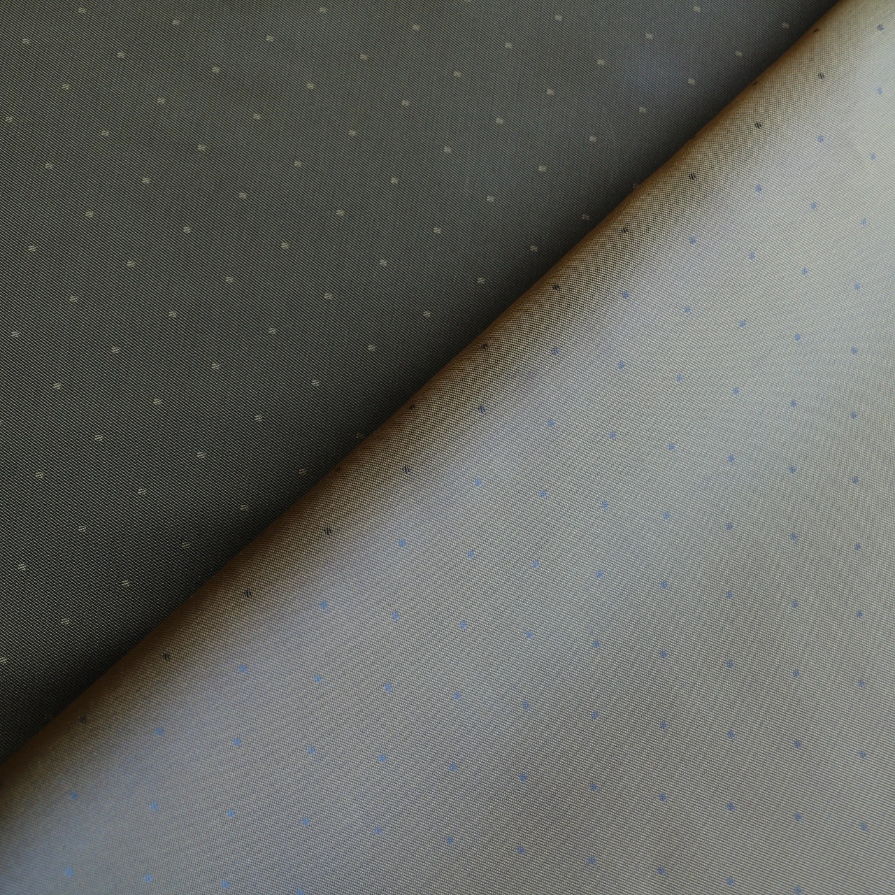 Clivia 013 5 Clivia 013 - Image 3