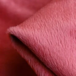 Suri Alpaca Coral Coating