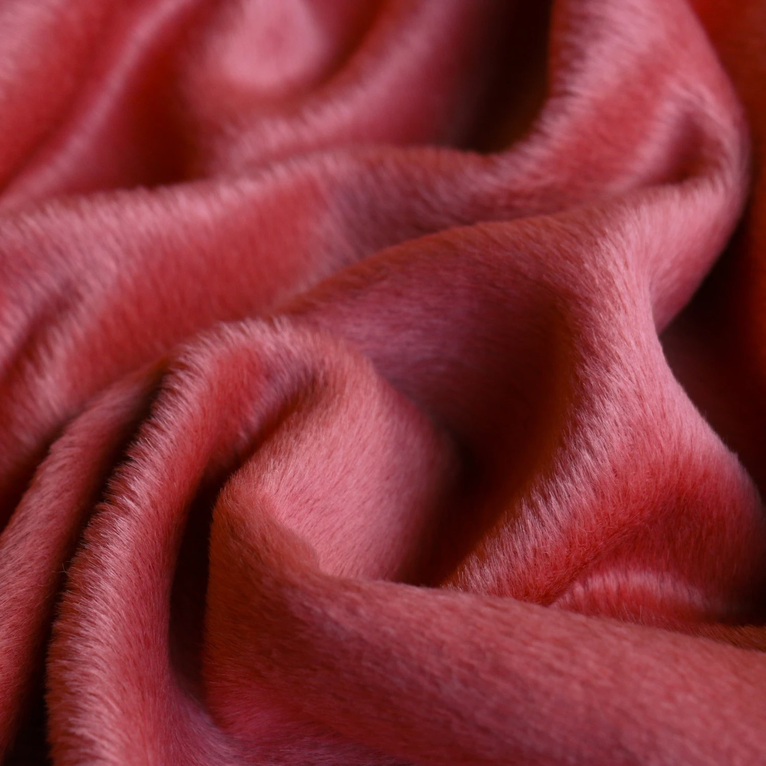 Suri Alpaca Coral Coating 4 Suri Alpaca Coral Coating - Image 2