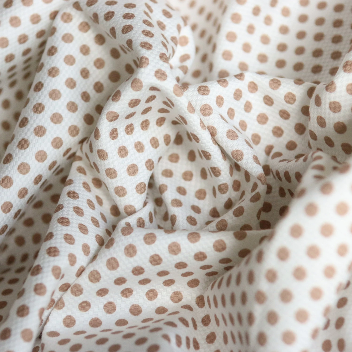 Pois Caffe Cotton Pique 4 Pois Caffe Cotton Pique - Image 2