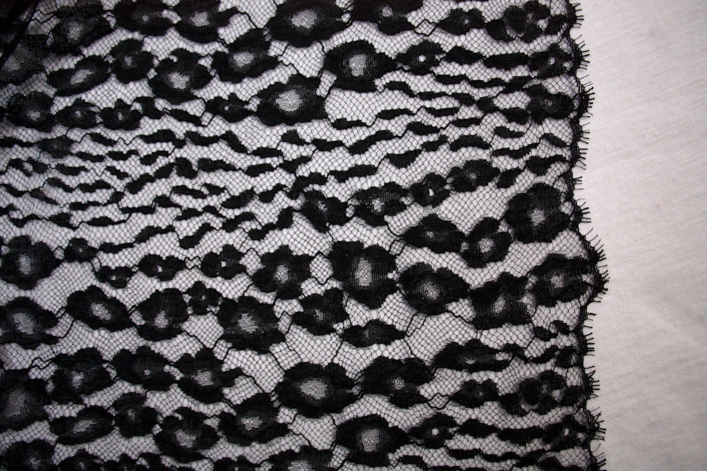 Noir Lace - Leopard Floral 5 Noir Lace - Leopard Floral - Image 3