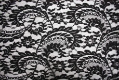 Charbon Dentelle -Silk Haven Shop MG 2922 1cfa9c58 e57b 400c bf49 3233106d15ce