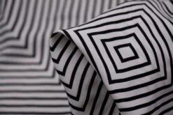 Look Into My Squares