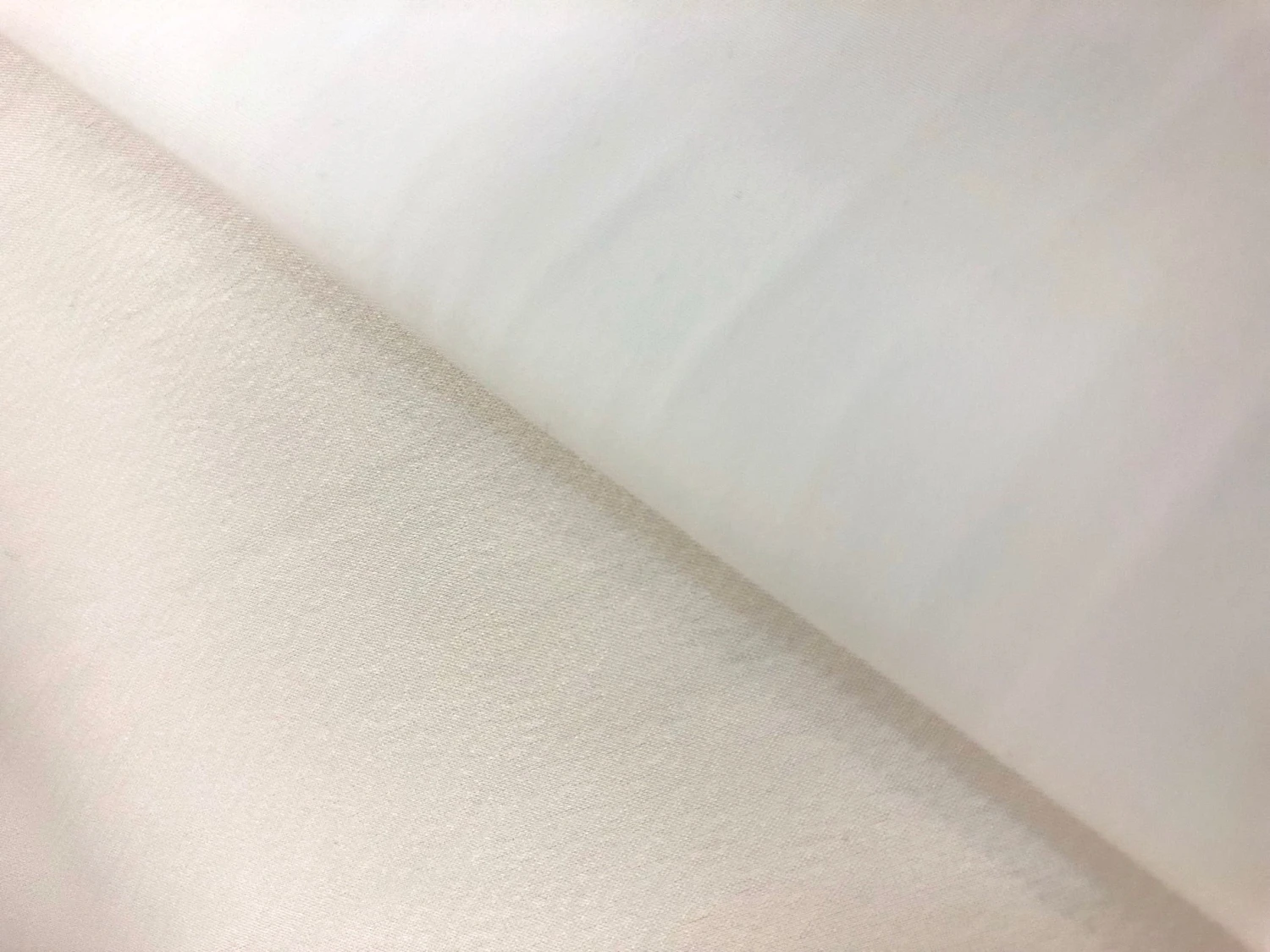 Monique Ivory 4 Monique Ivory - Image 2