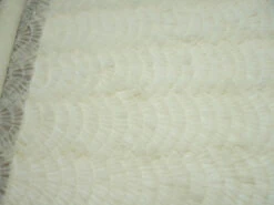 Fantail Ivory -Silk Haven Shop fantail ivory 1